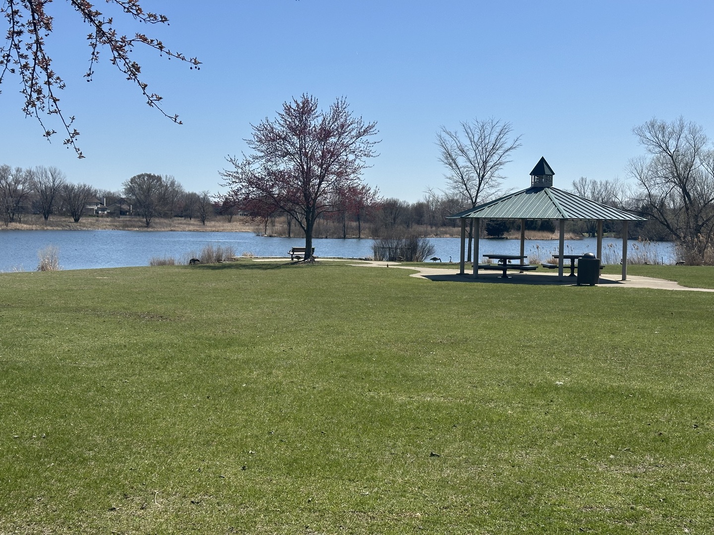 716 Pinehurst Lane, Oswego, IL 60543