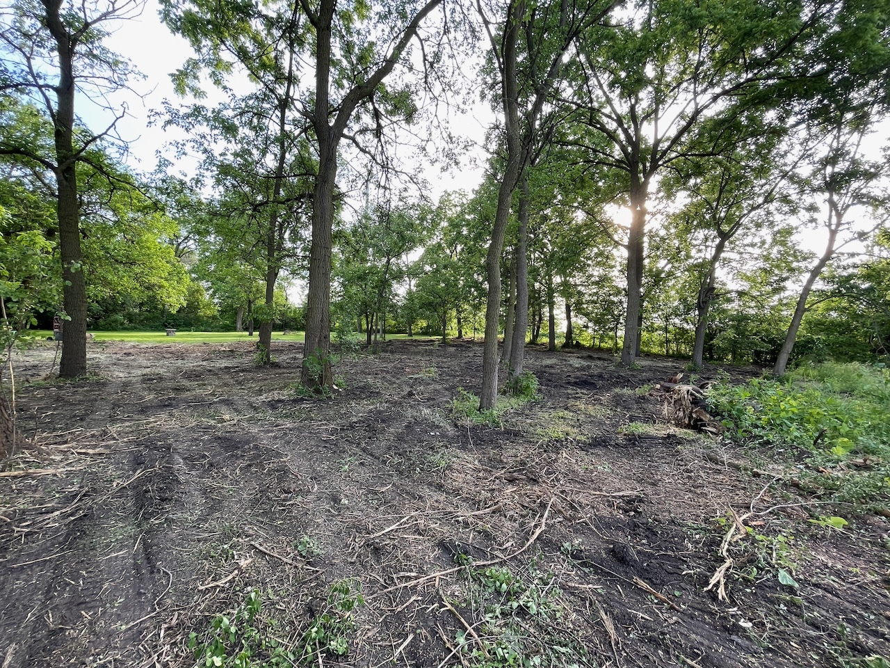 22 N Columbine Avenue, Lombard, IL 60148
