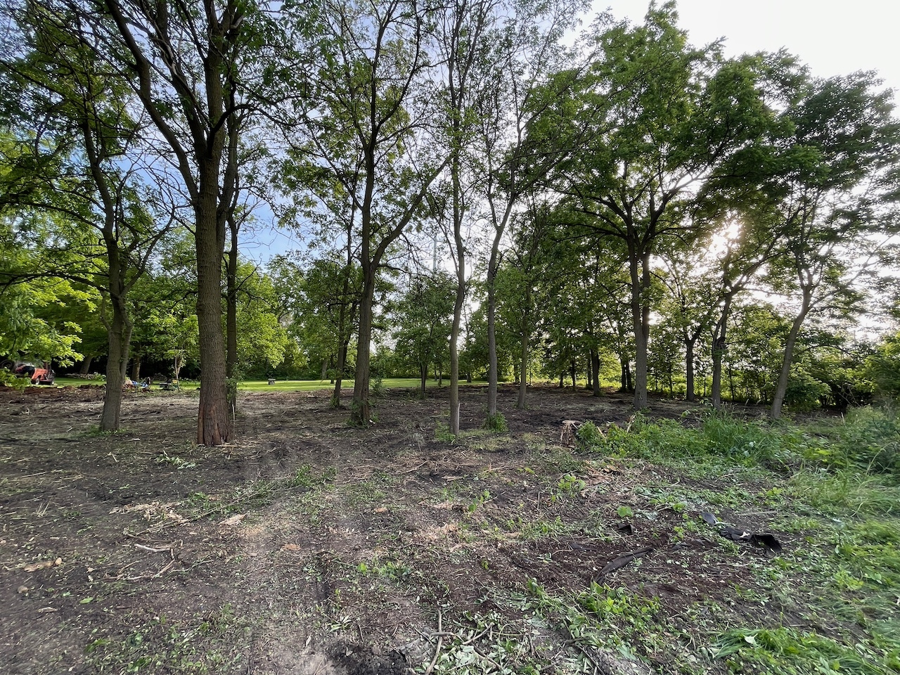 22 N Columbine Avenue, Lombard, IL 60148