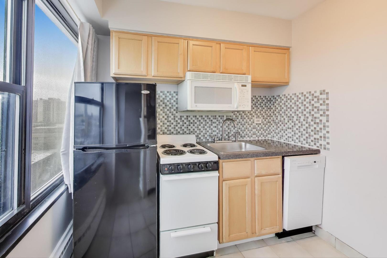 6030 N Sheridan Road #1007, Chicago, IL 60660