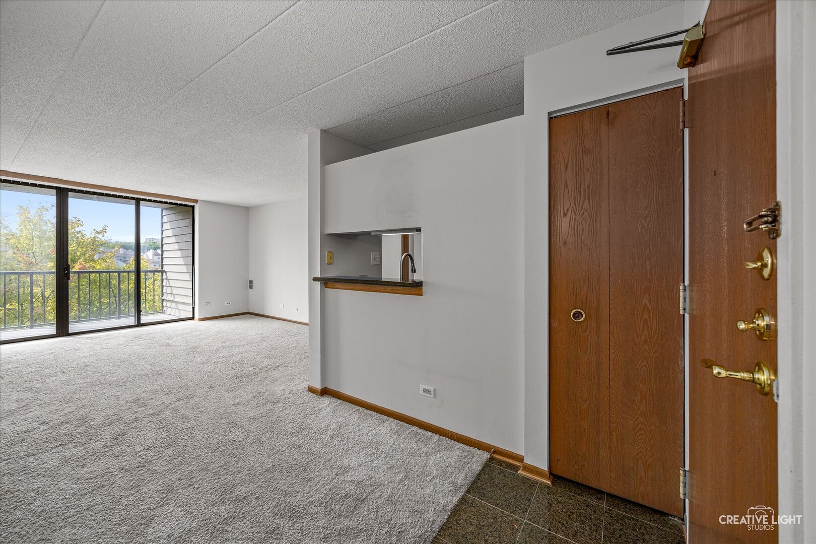 75 Kristin Circle #310, Schaumburg, IL 60195