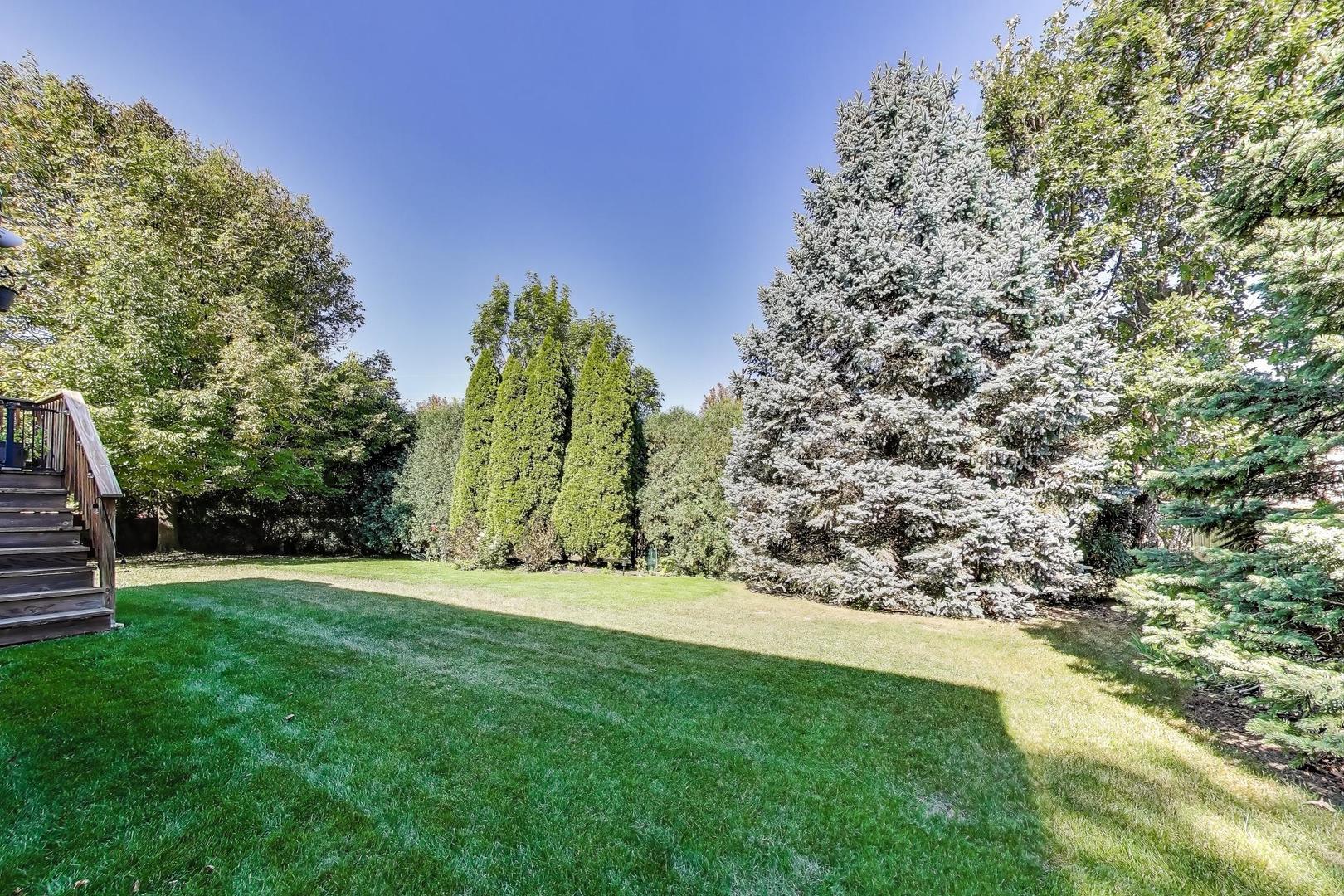 23058 Arbor Creek Drive, Plainfield, IL 60586