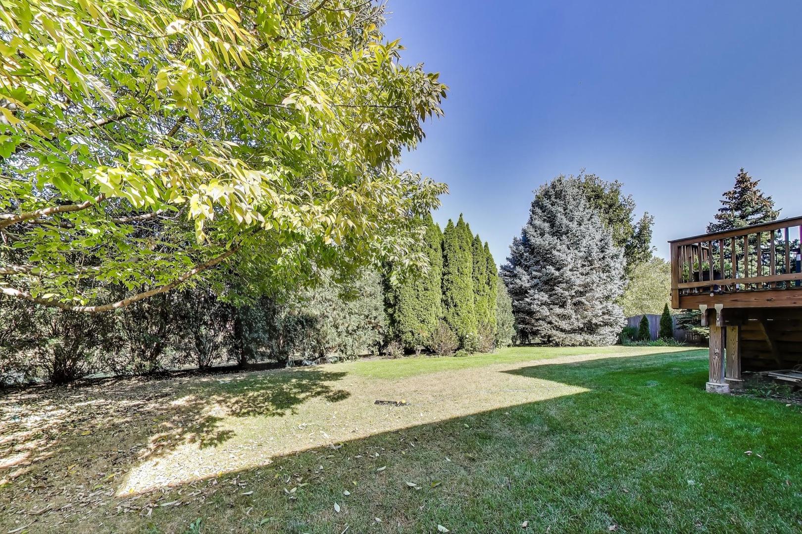 23058 Arbor Creek Drive, Plainfield, IL 60586