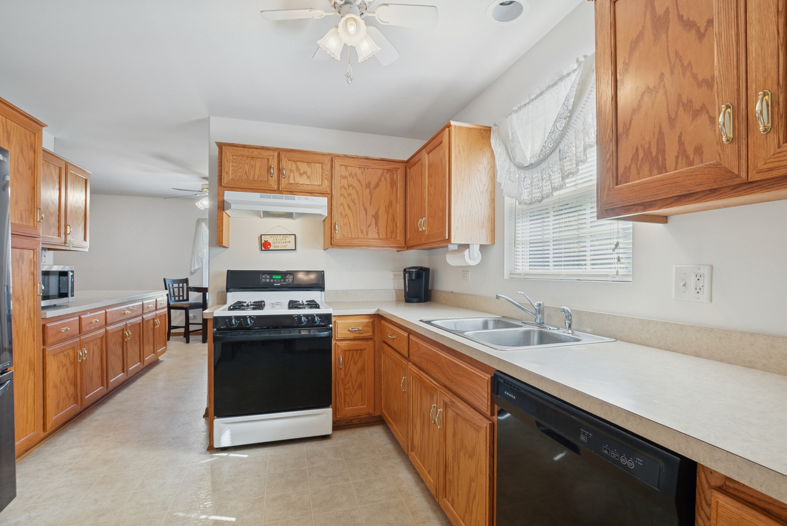 529 Chestnut Lane, Peotone, IL 60468