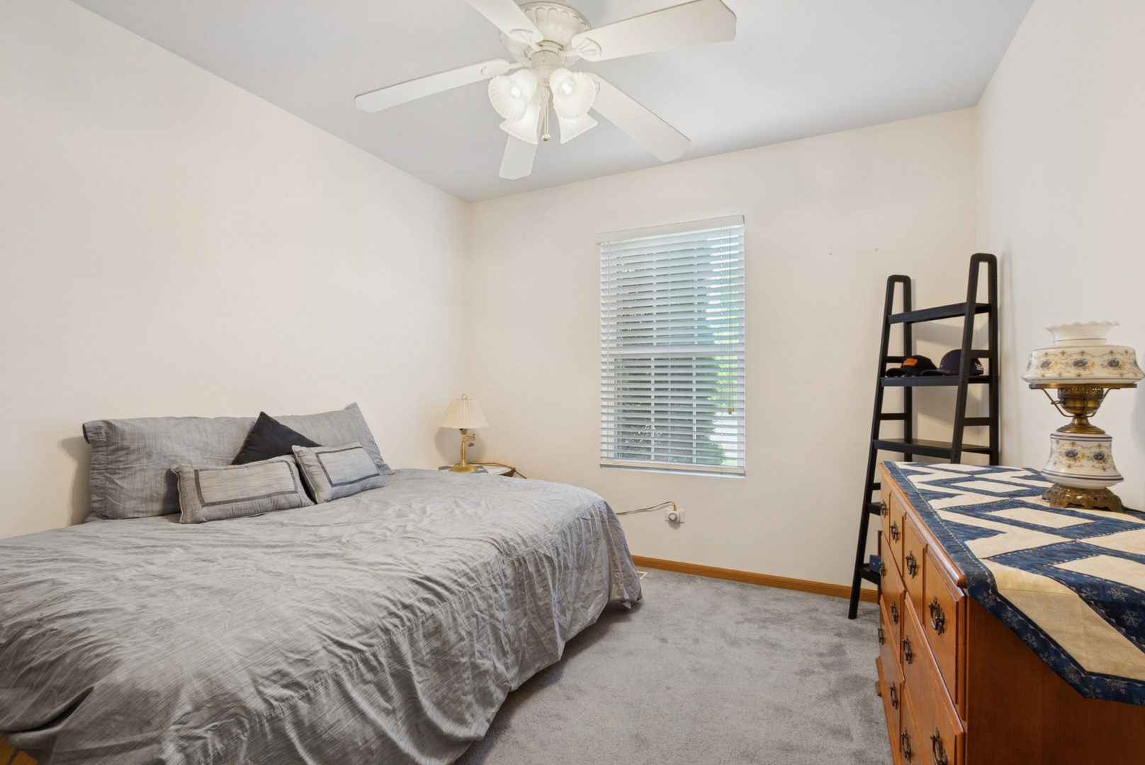 529 Chestnut Lane, Peotone, IL 60468