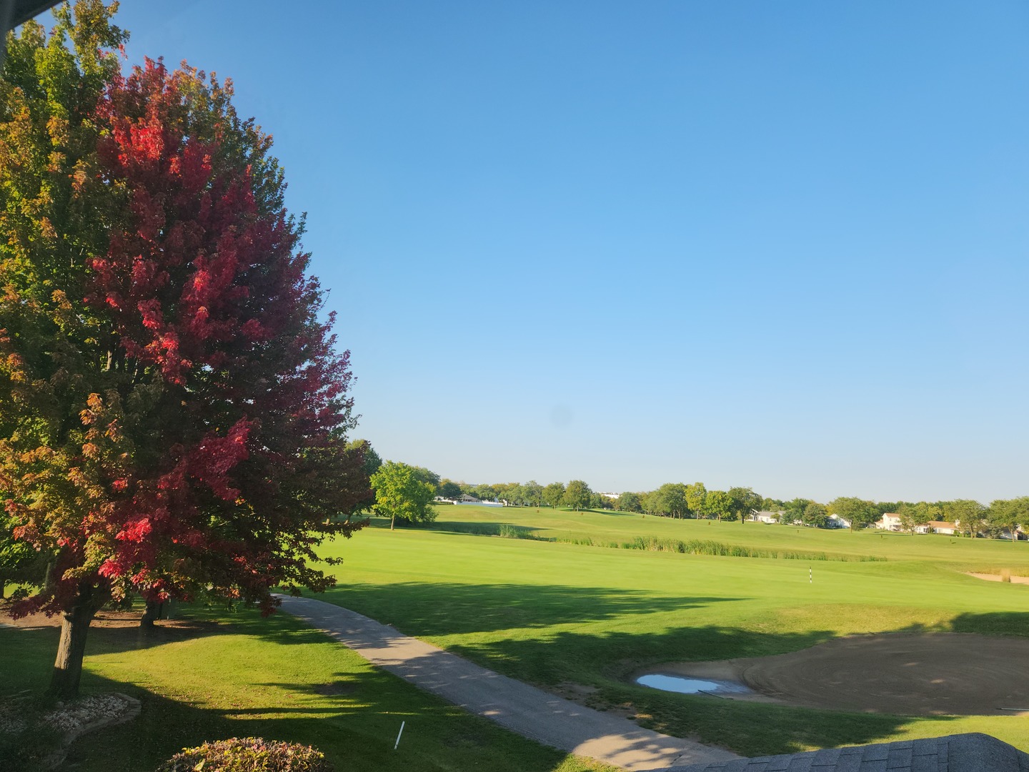 21316 W Redwood Drive, Plainfield, IL 60544