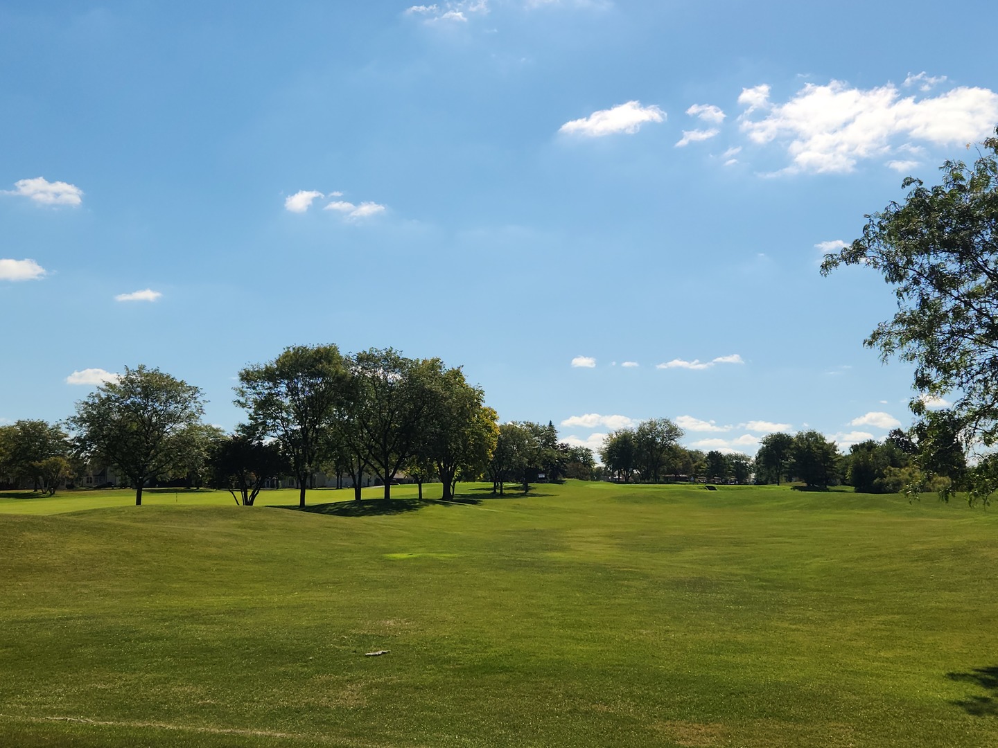 21316 W Redwood Drive, Plainfield, IL 60544