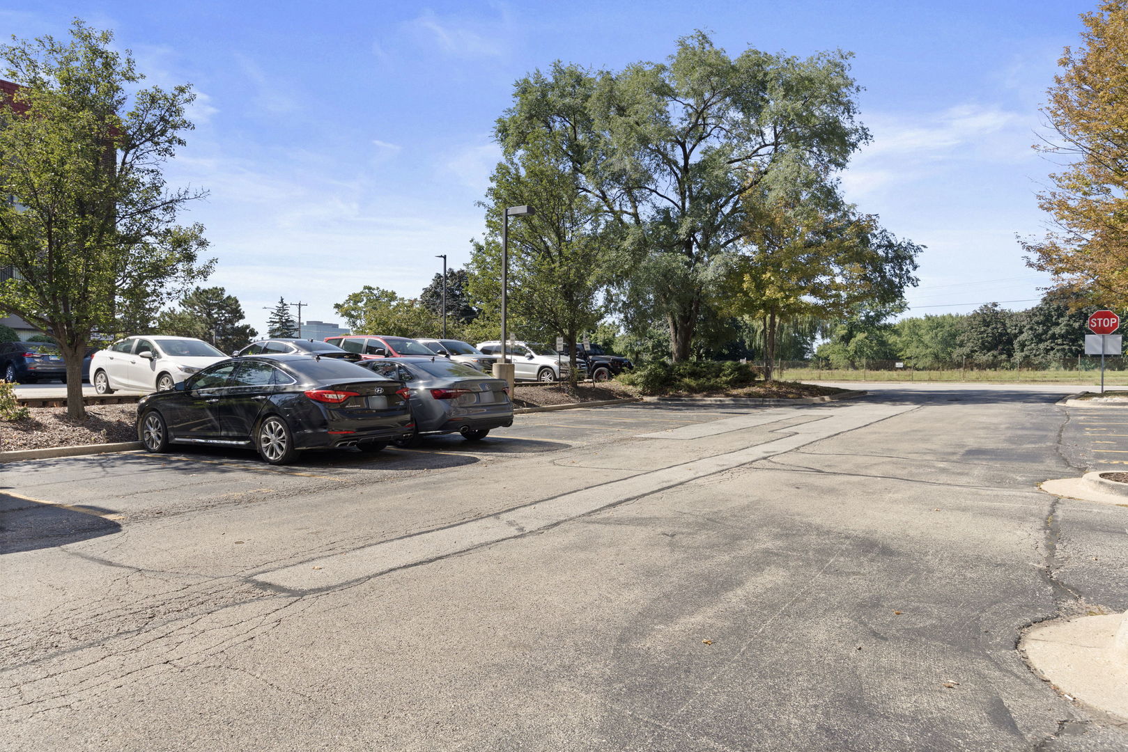1905 S Wolf Road #302, Hillside, IL 60162
