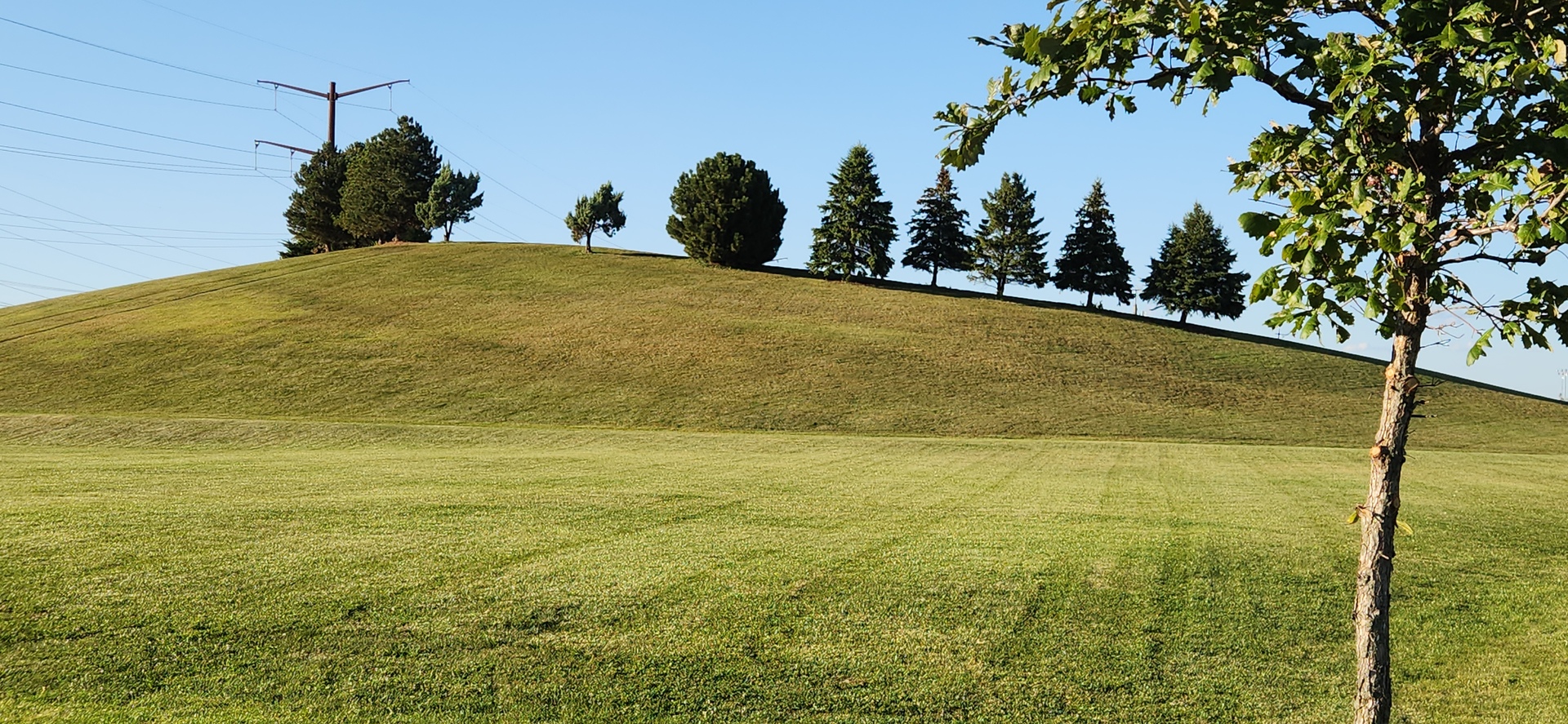 319 Parkside Drive, Shorewood, IL 60404