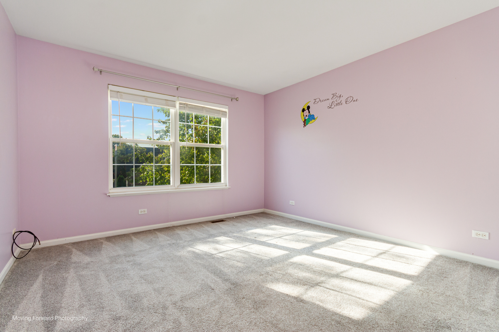 6074 Frank Drive, Hoffman Estates, IL 60192