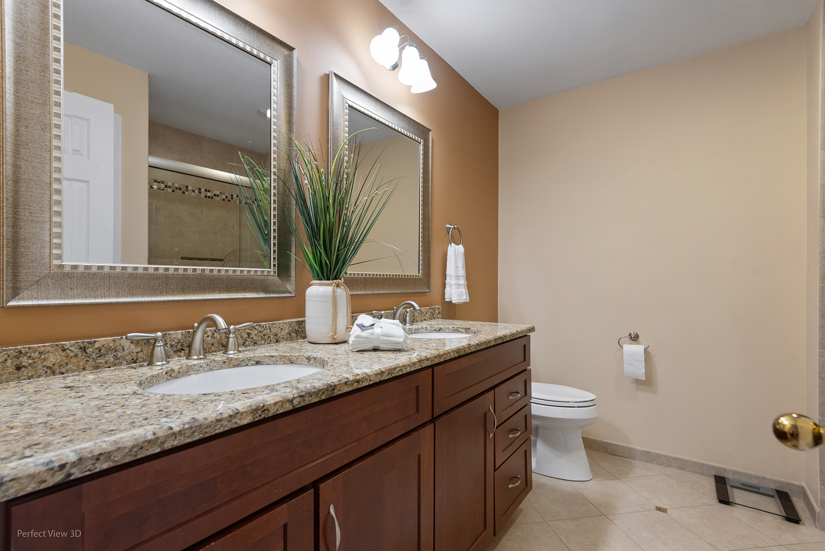 875 Mckenzie Station Drive, Lisle, IL 60532