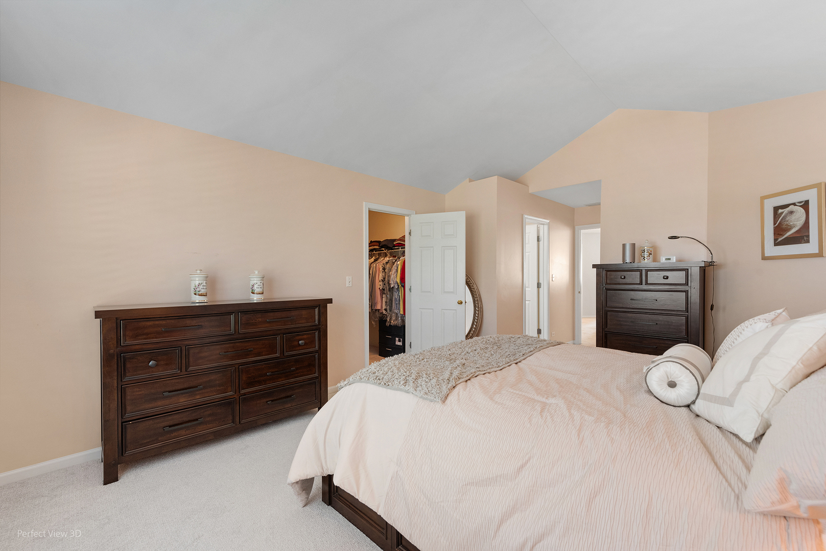 875 Mckenzie Station Drive, Lisle, IL 60532