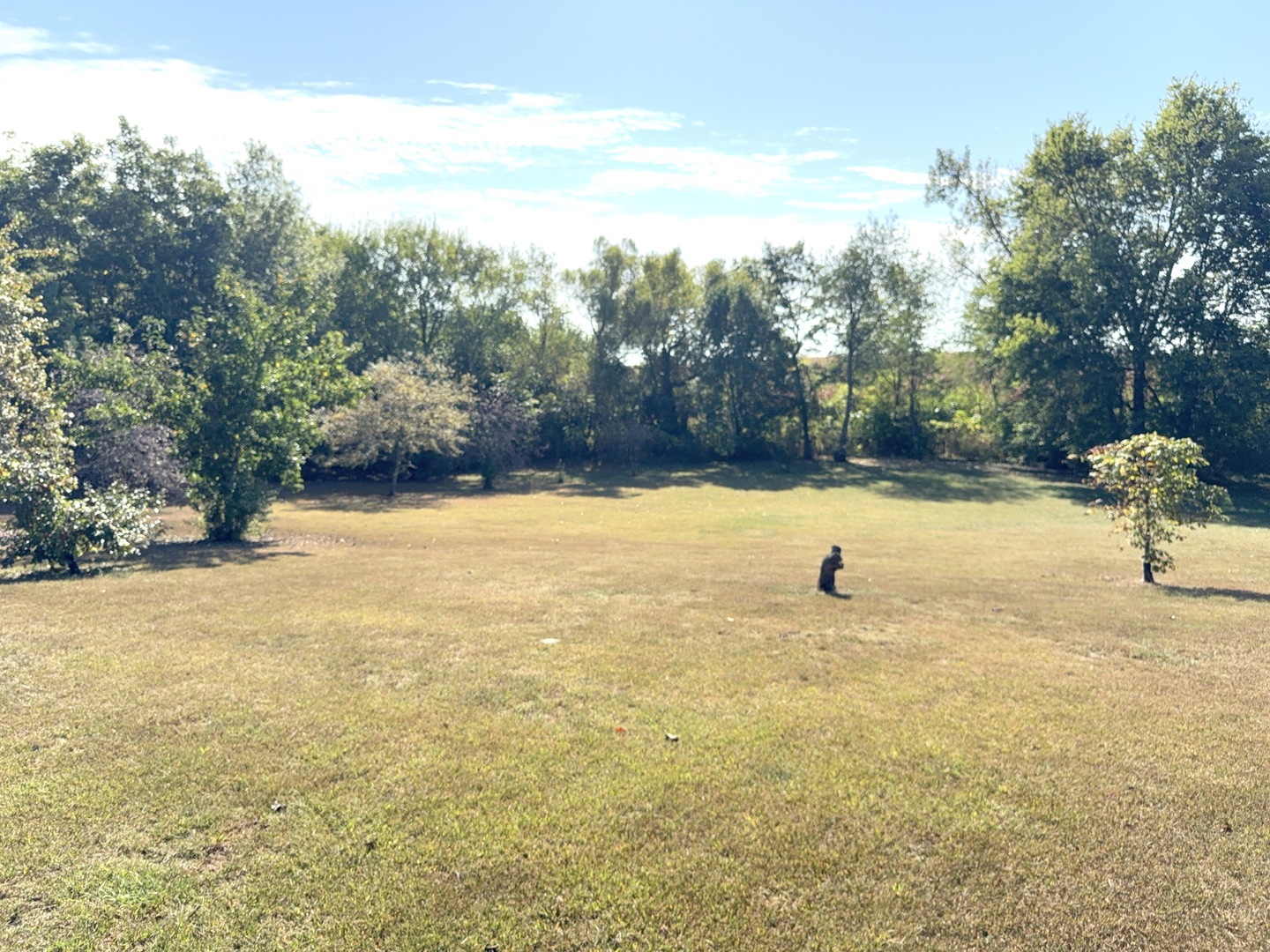 16555 Mclean Road, Danvers, IL 61732