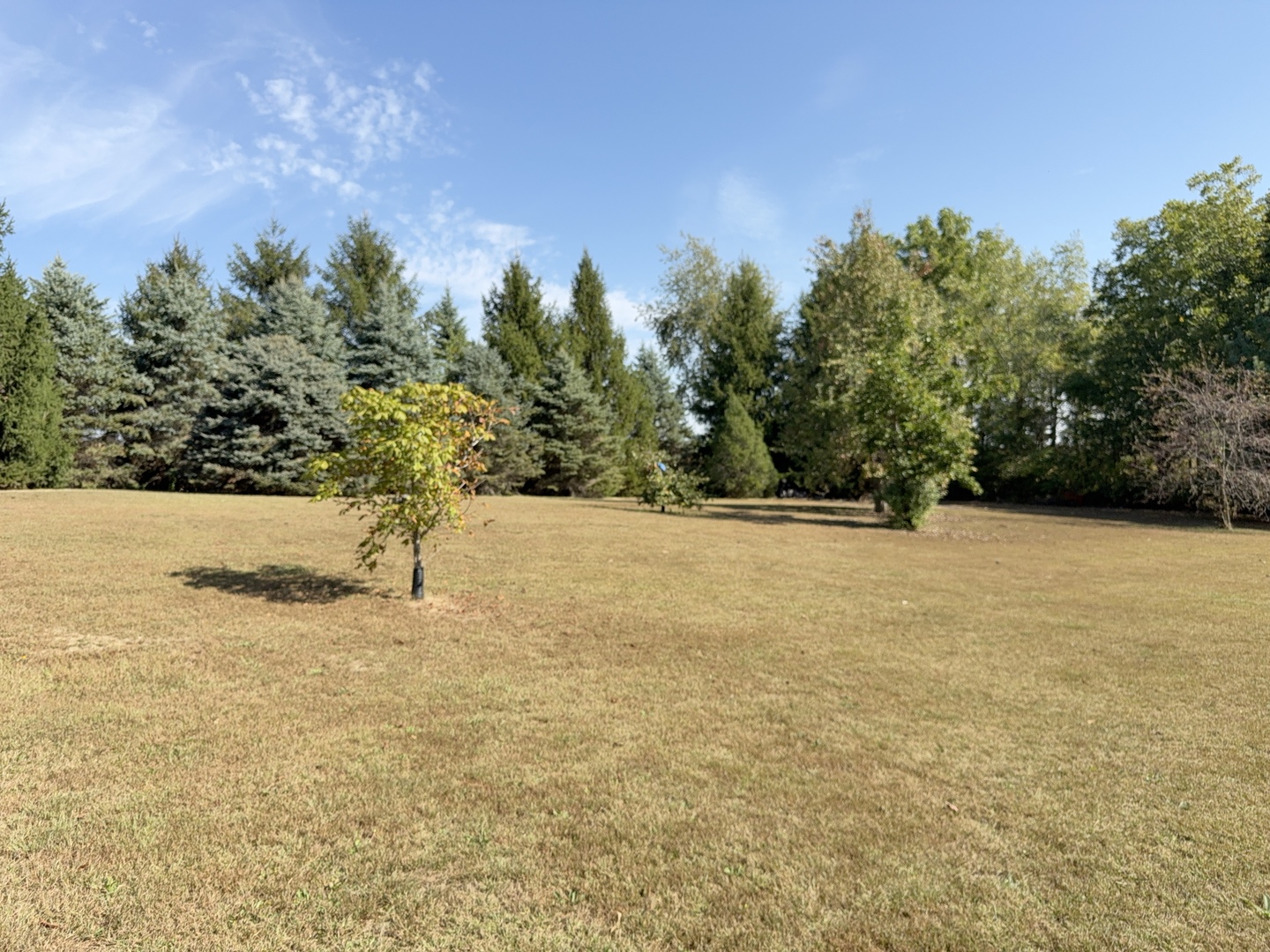 16555 Mclean Road, Danvers, IL 61732