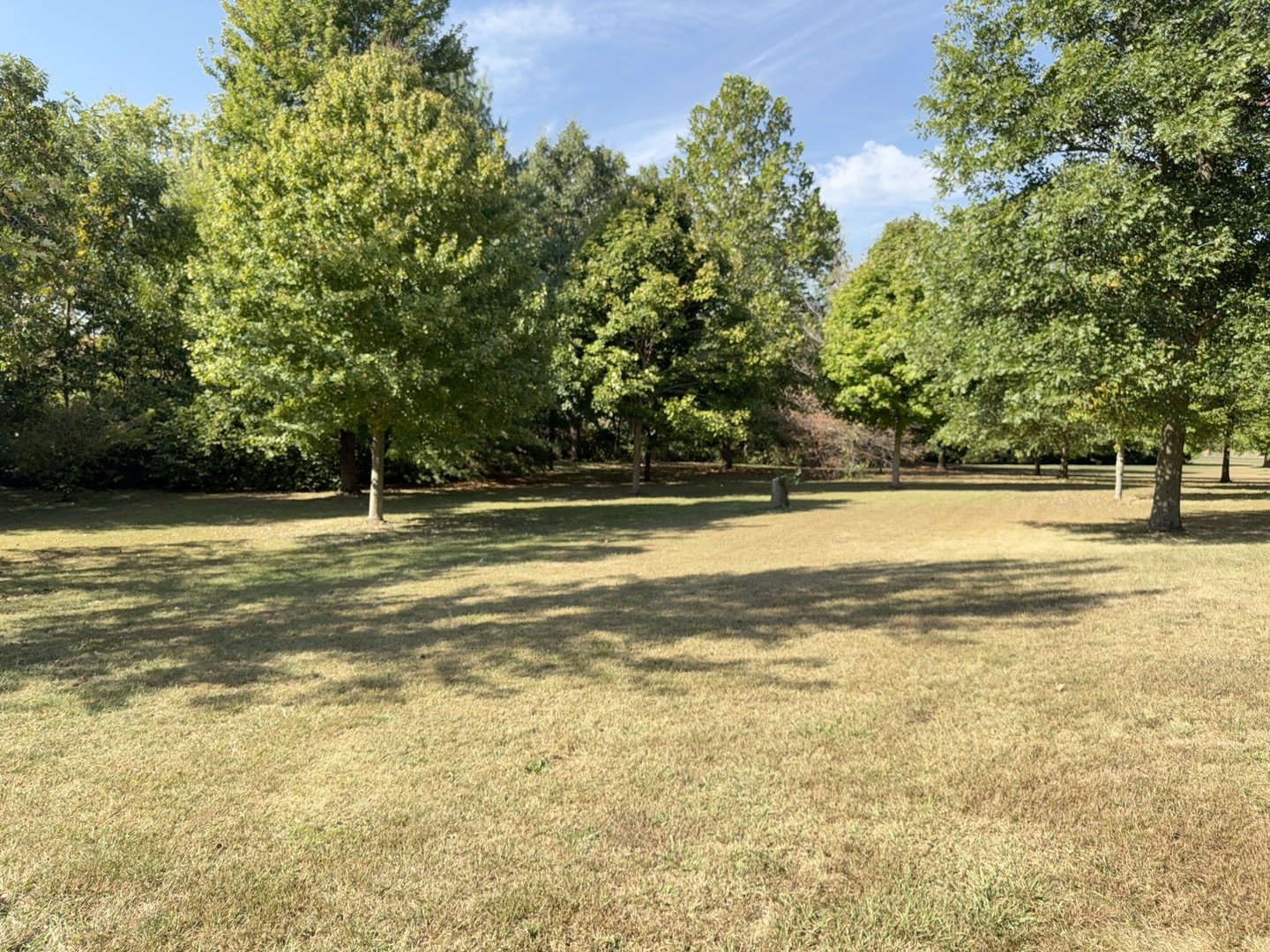 16555 Mclean Road, Danvers, IL 61732