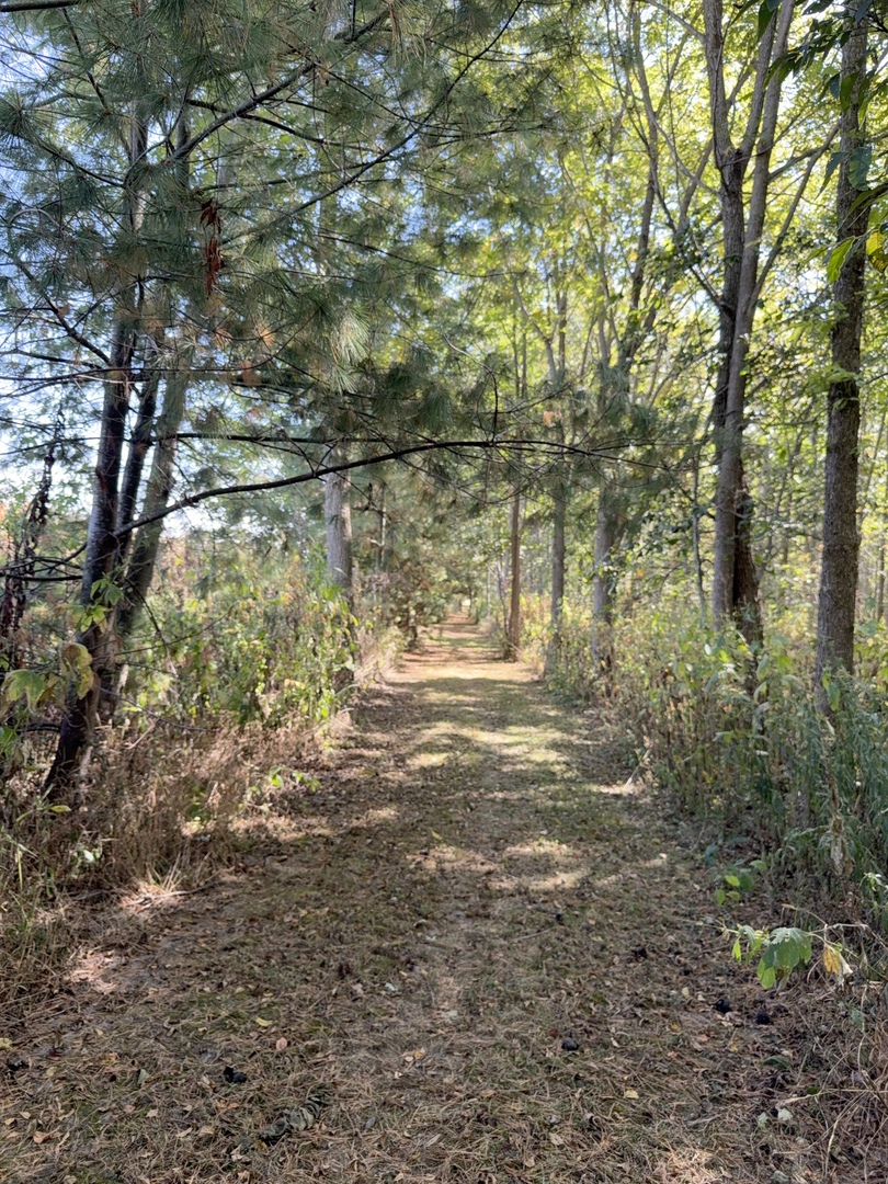 16555 Mclean Road, Danvers, IL 61732