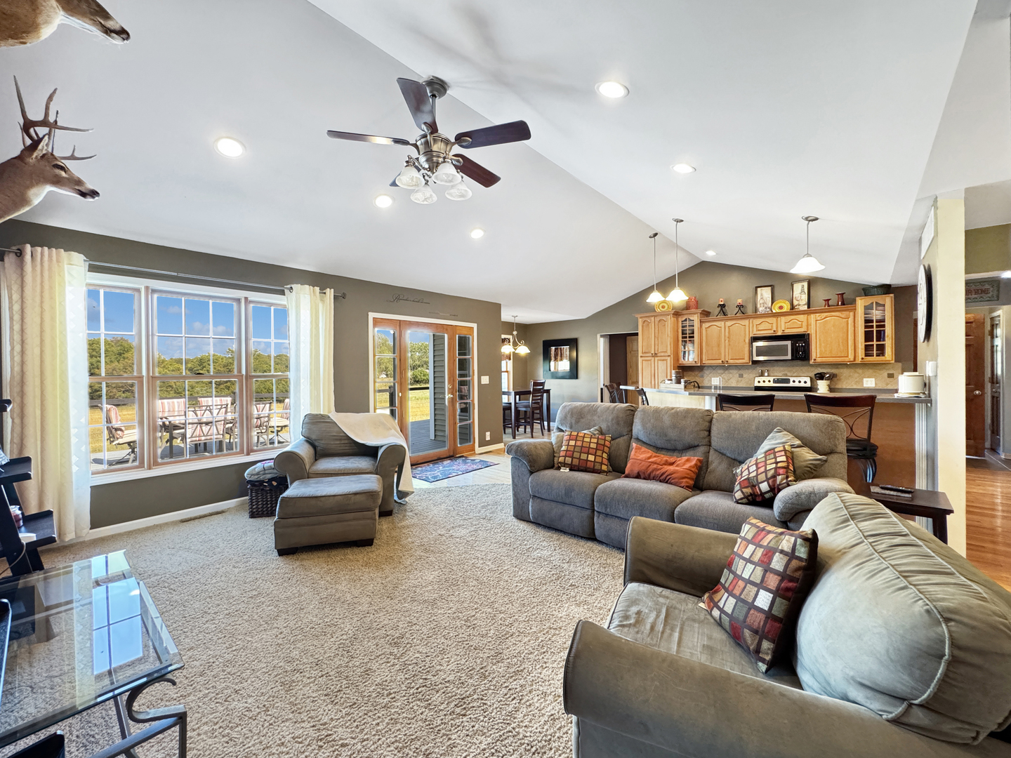 1063 Deervalley Drive, Varna, IL 61375