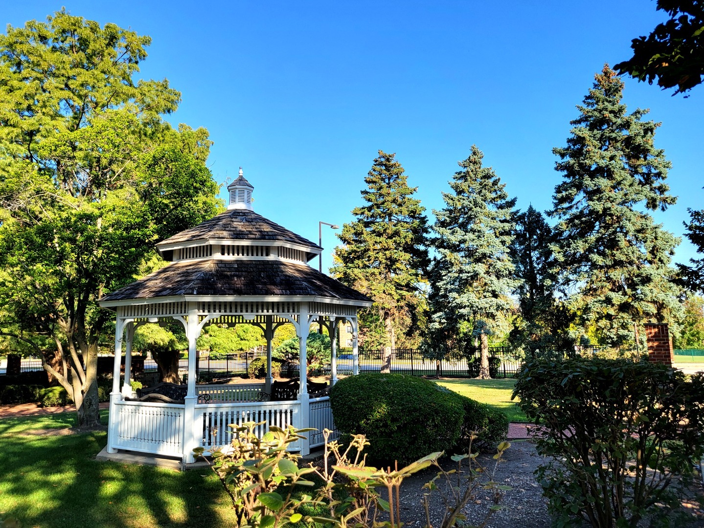 3451 N Carriageway Drive #203, Arlington Heights, IL 60004