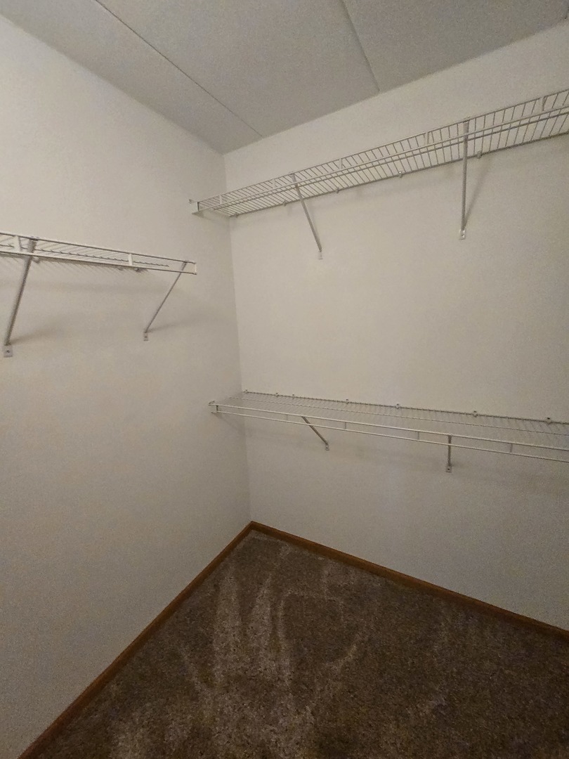 6860 Winding Trail #204, Oak Forest, IL 60452