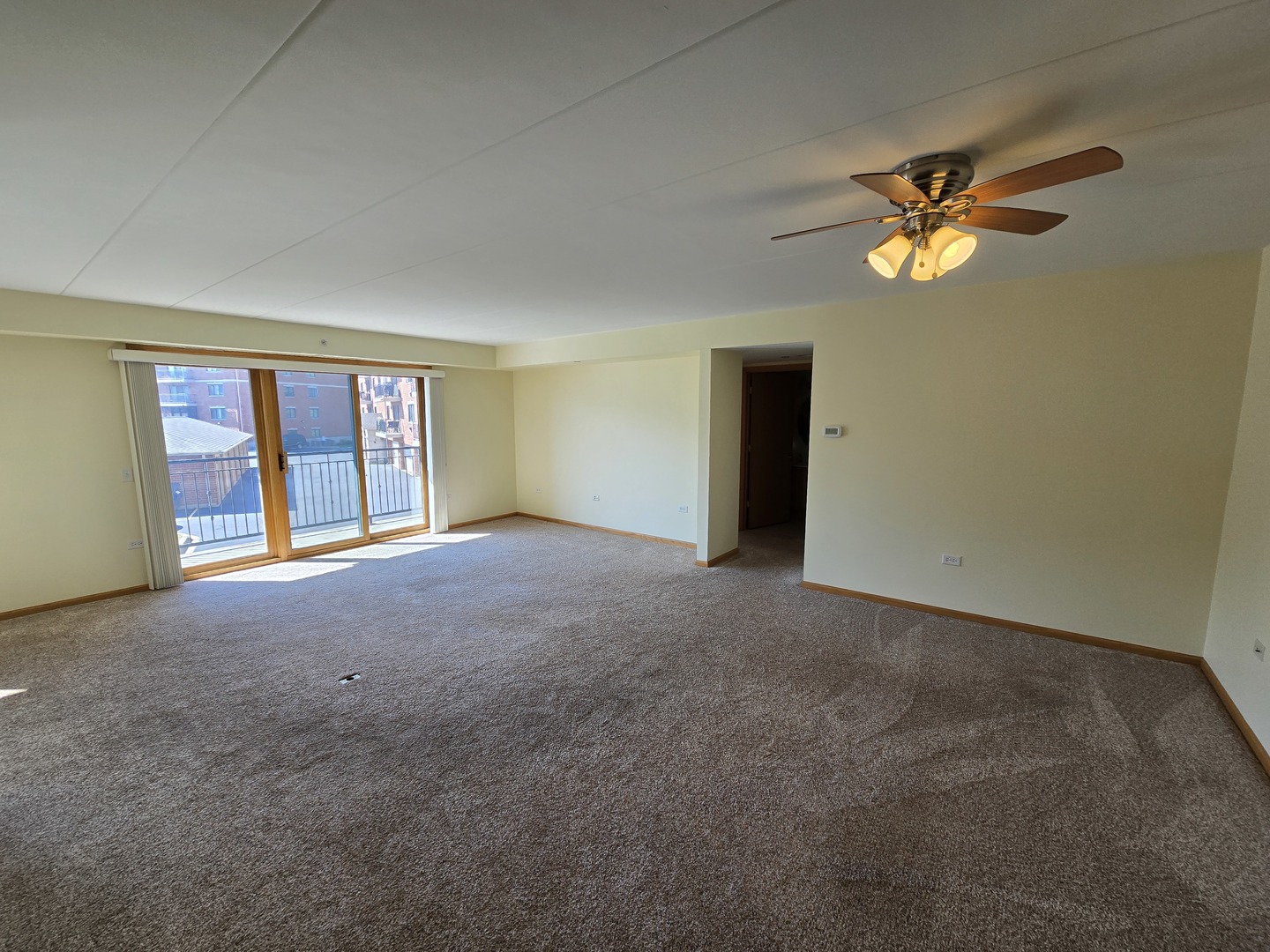 6860 Winding Trail #204, Oak Forest, IL 60452