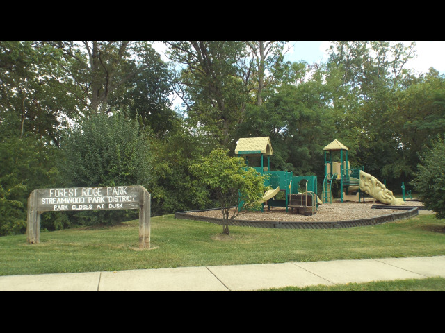 1463 Yellowstone Drive, Streamwood, IL 60107