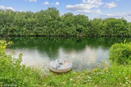 560 N Washington Street, Braidwood, IL 60408