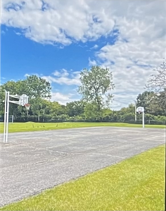 40 Bermuda Colony #7, Fox Lake, IL 60020
