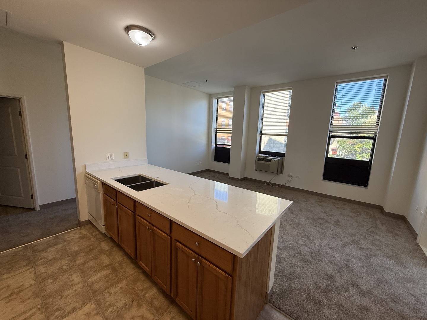 1501 W Belmont Avenue #201, Chicago, IL 60657