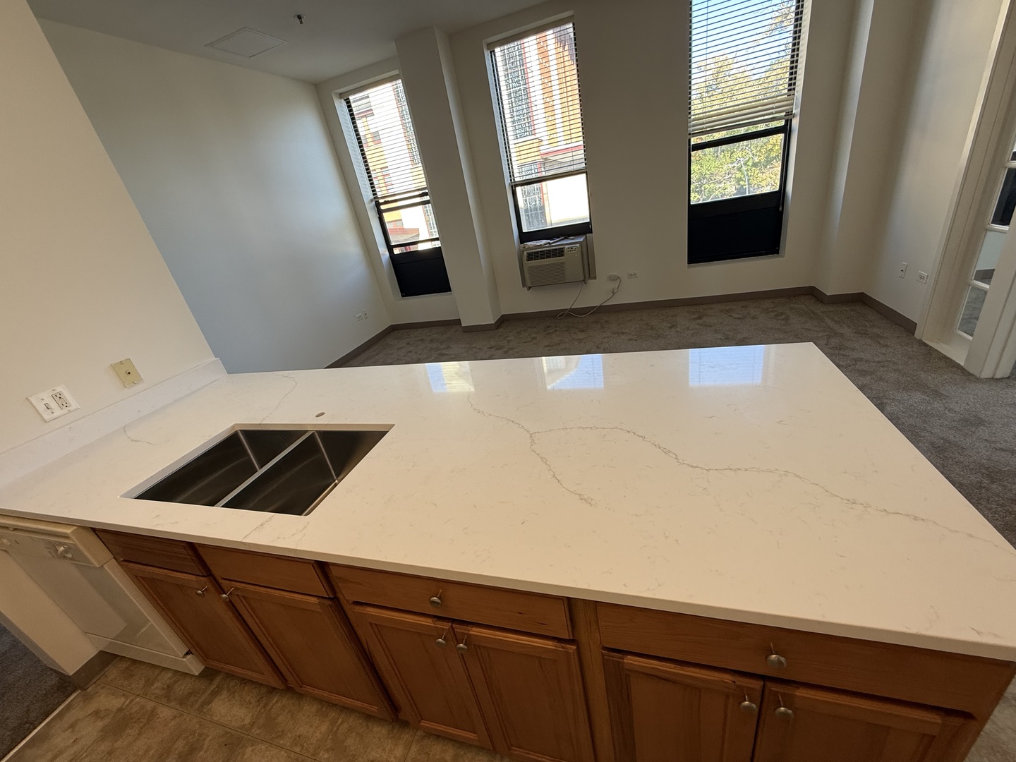 1501 W Belmont Avenue #201, Chicago, IL 60657