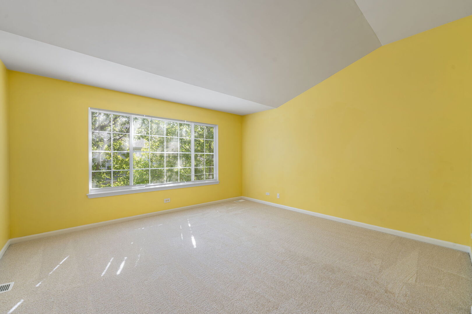 11 Bitter Spring Court, Algonquin, IL 60102