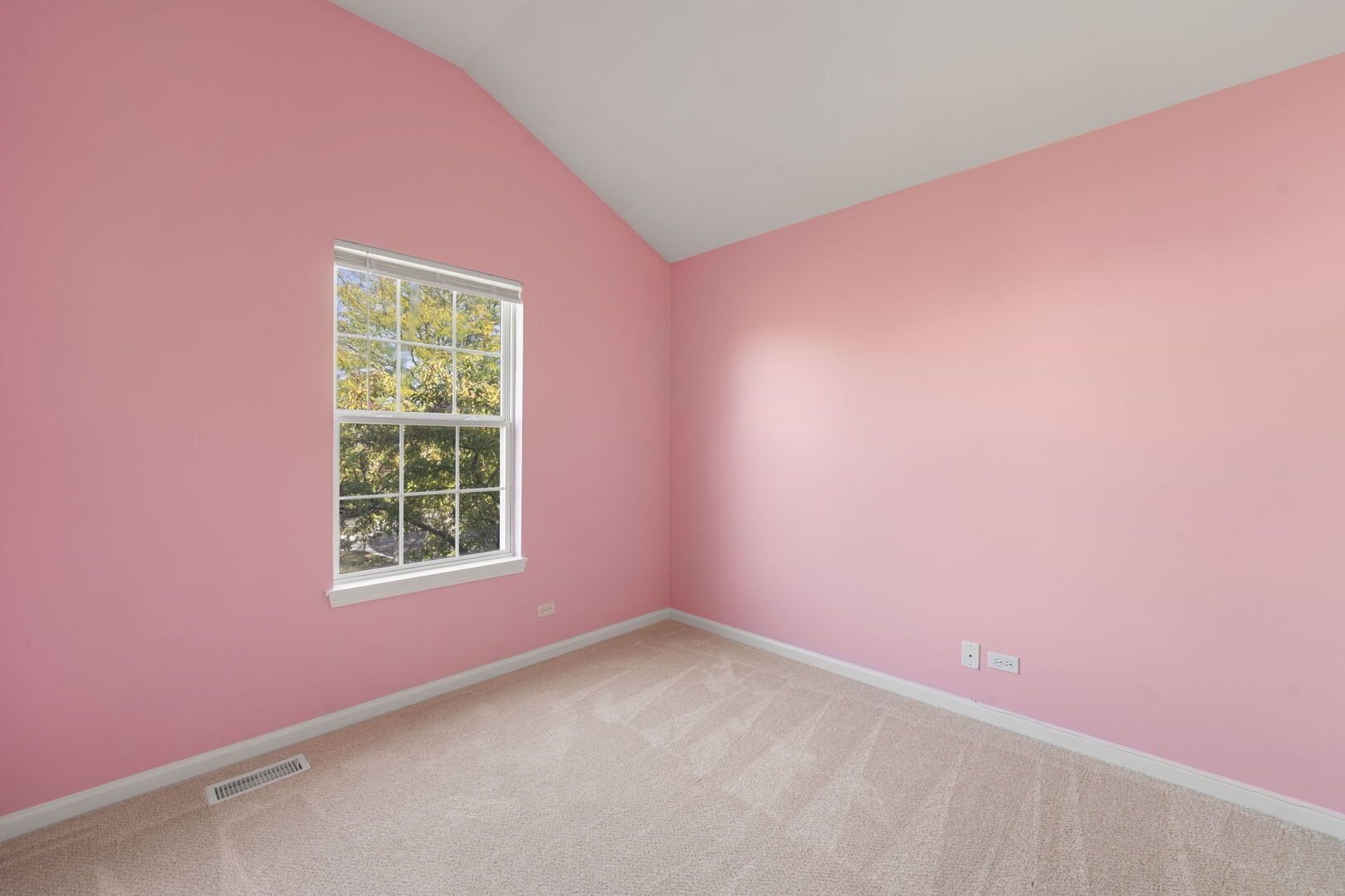 11 Bitter Spring Court, Algonquin, IL 60102