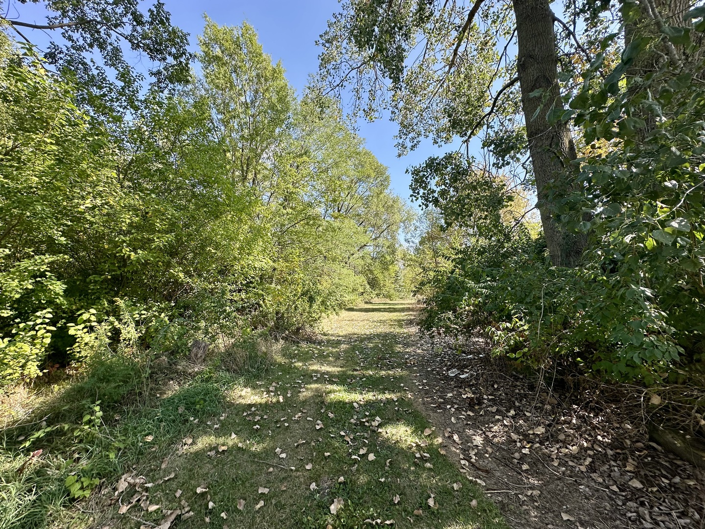 000 N Shelly Avenue, Reddick, IL 60961