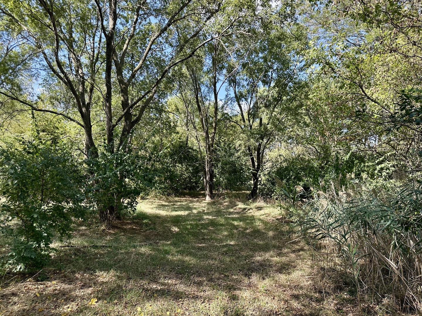 000 N Shelly Avenue, Reddick, IL 60961