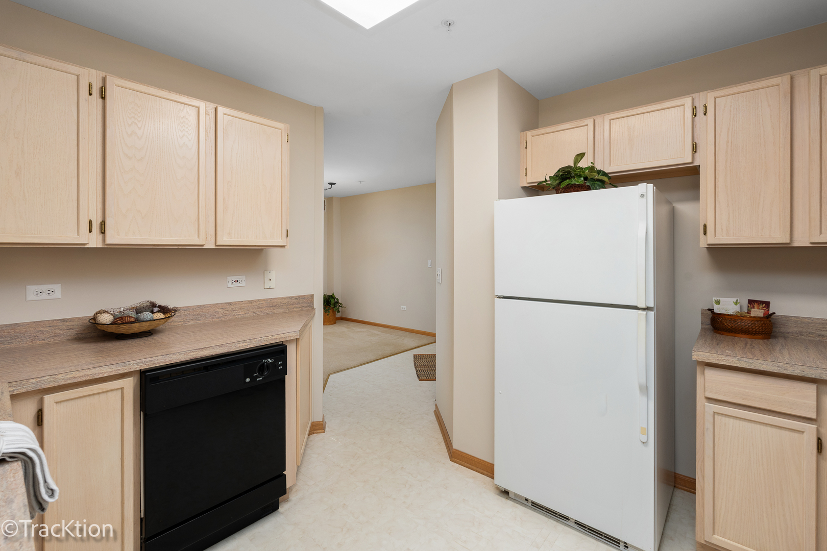 13818 S Bristlecone Lane #D, Plainfield, IL 60544