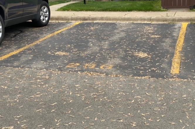 1S266 Dillon Lane, Villa Park, IL 60181