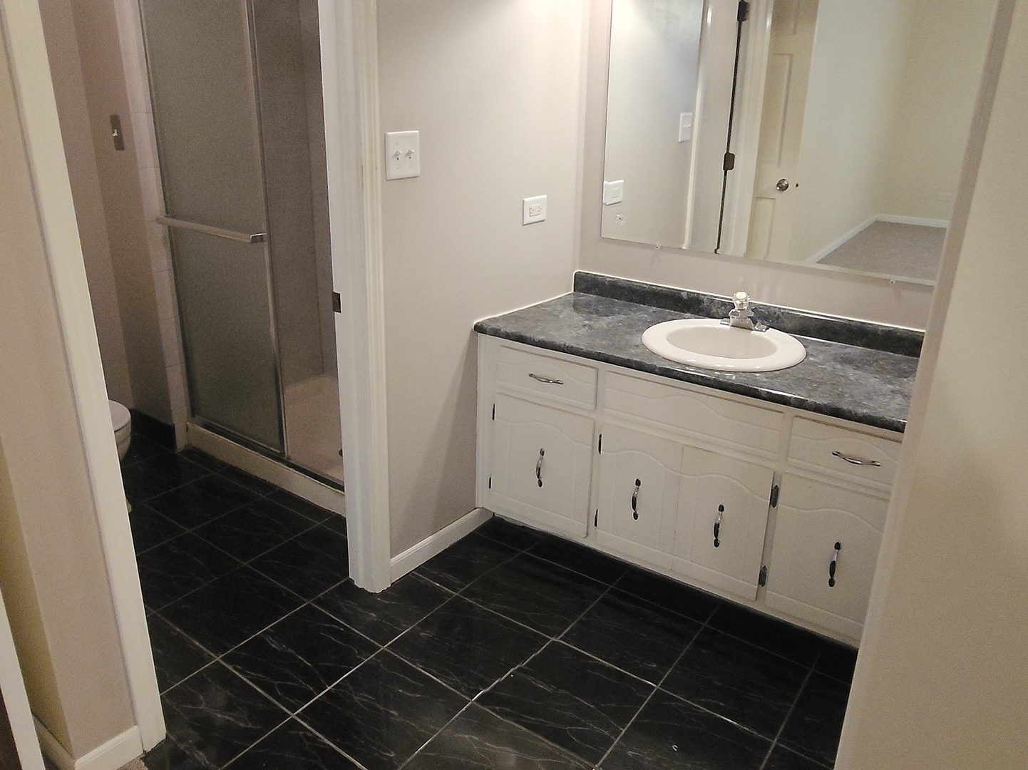 9051 S Roberts Road #102, Hickory Hills, IL 60457
