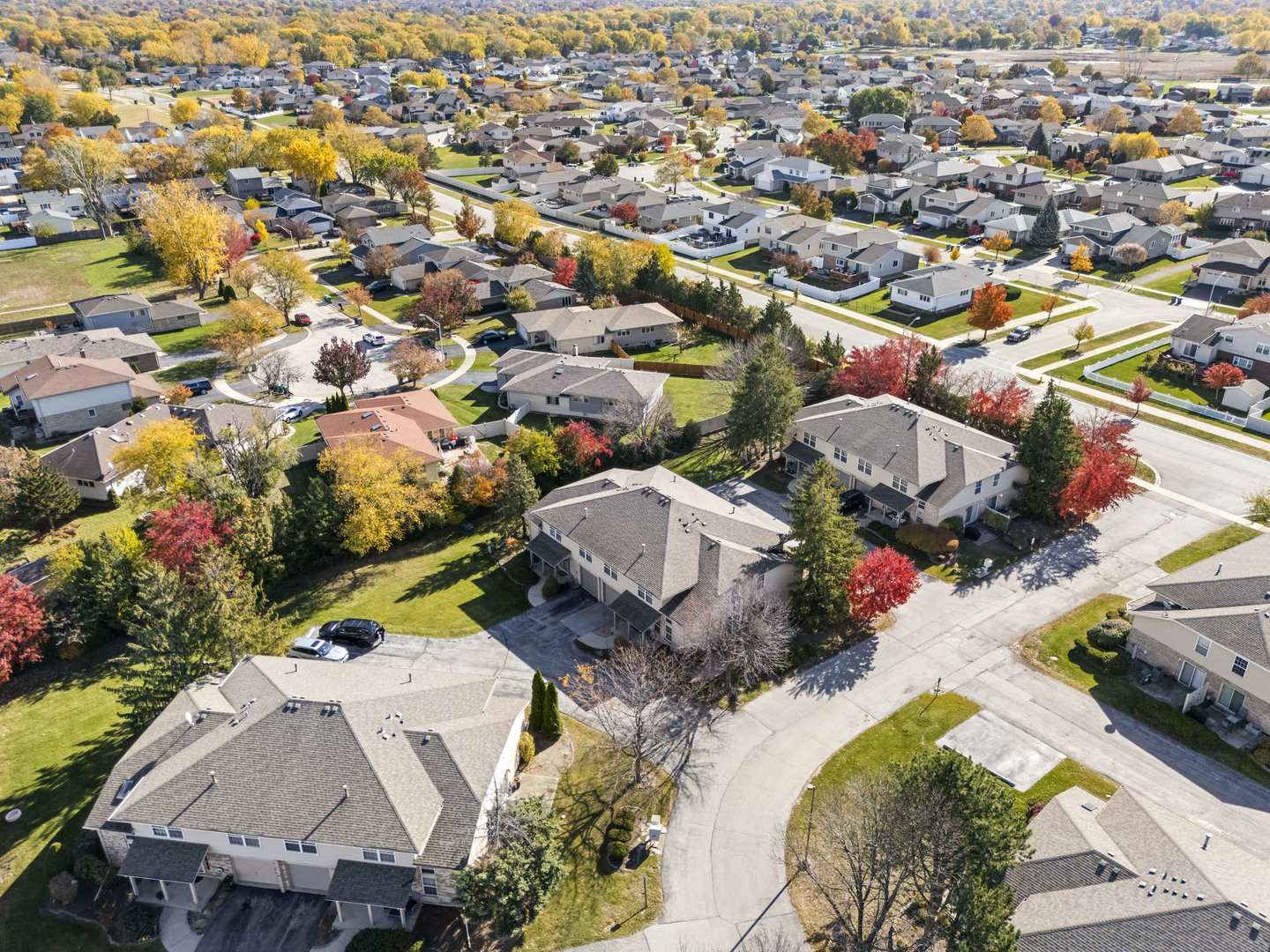 9298 Meadowview Drive, Orland Hills, IL 60487