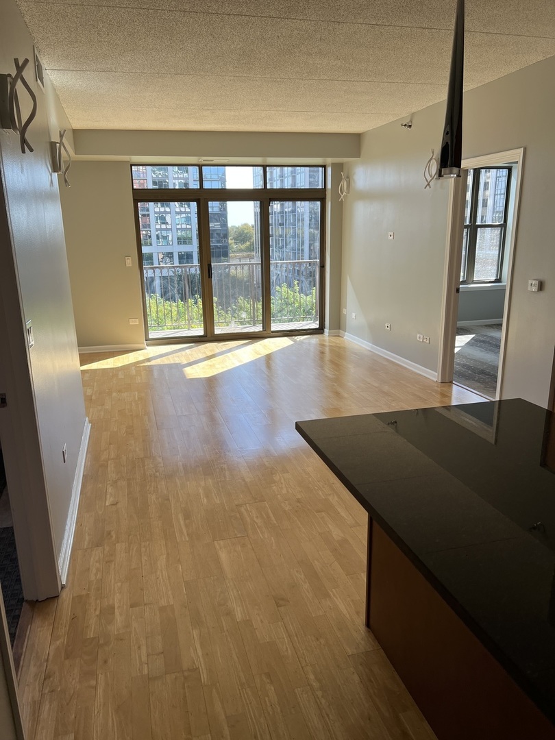 1250 S Indiana Avenue #606, Chicago, IL 60605