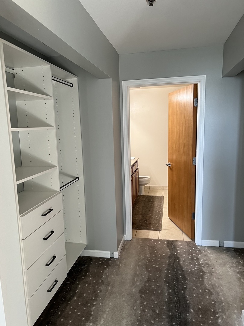 1250 S Indiana Avenue #606, Chicago, IL 60605
