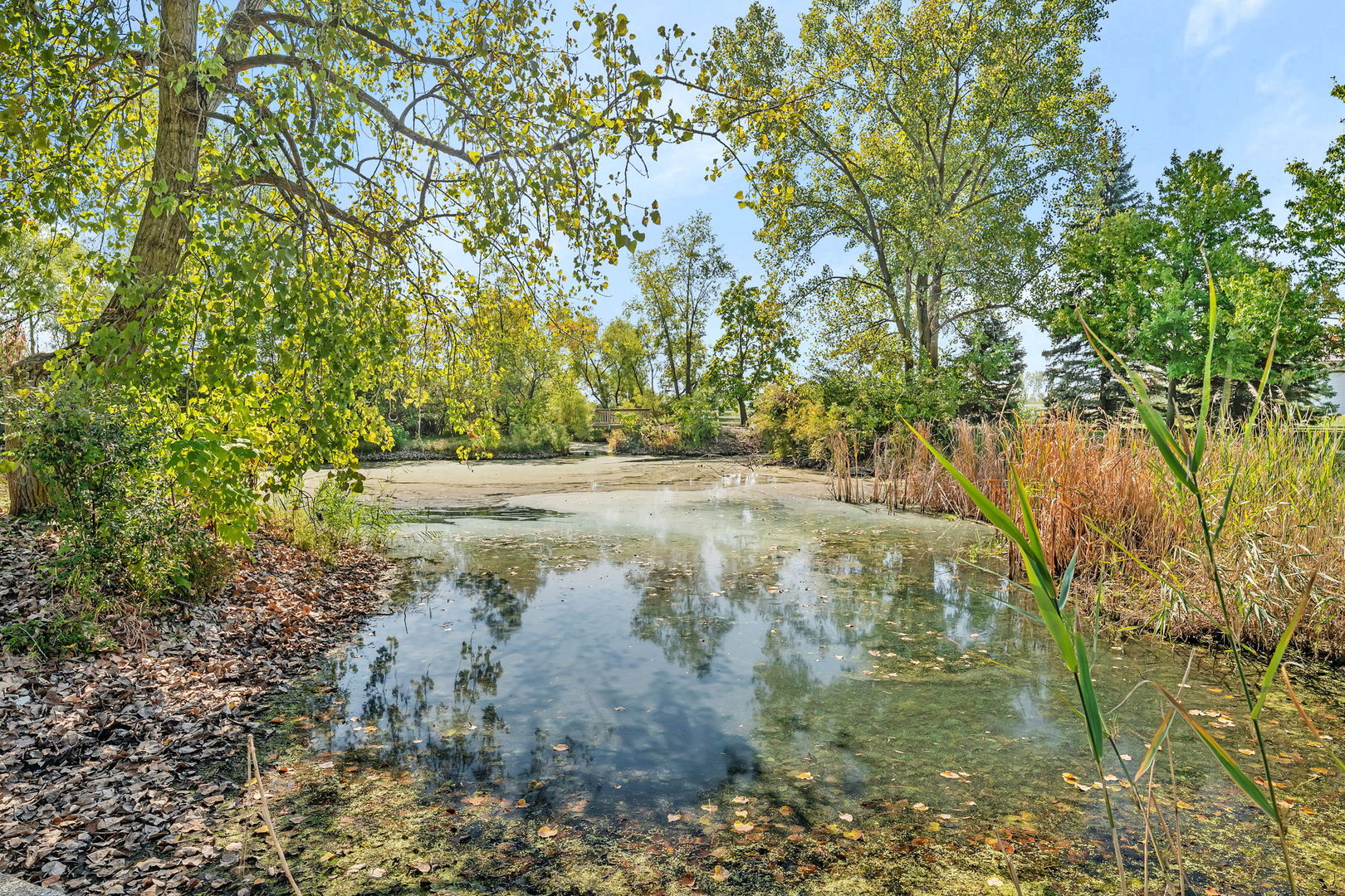 9417 W Steger Road, Frankfort, IL 60423