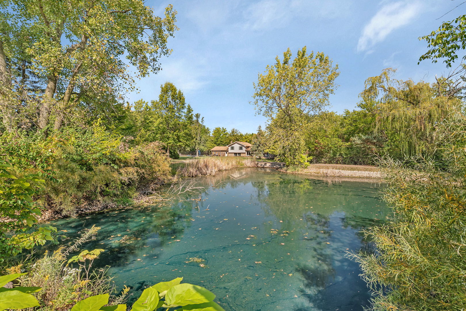 9417 W Steger Road, Frankfort, IL 60423