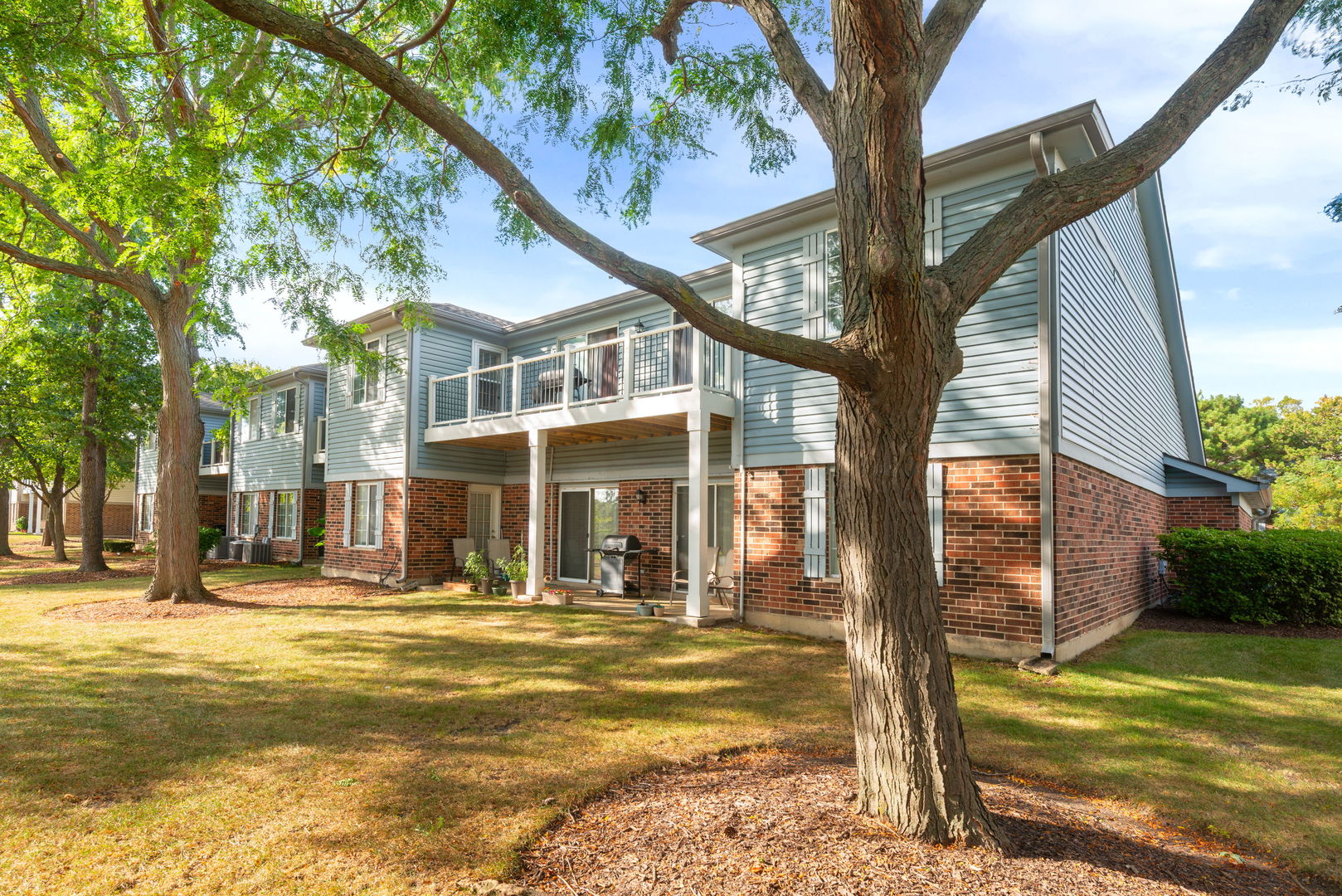 1721 Chesapeake Lane #4, Schaumburg, IL 60193