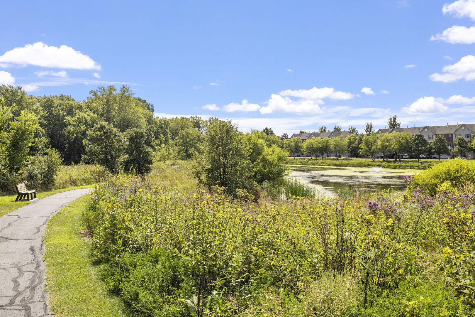 0N082 Forsythe Court, Winfield, IL 60190