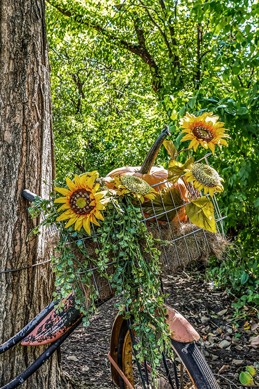 11901 S 92nd Avenue, Palos Park, IL 60464