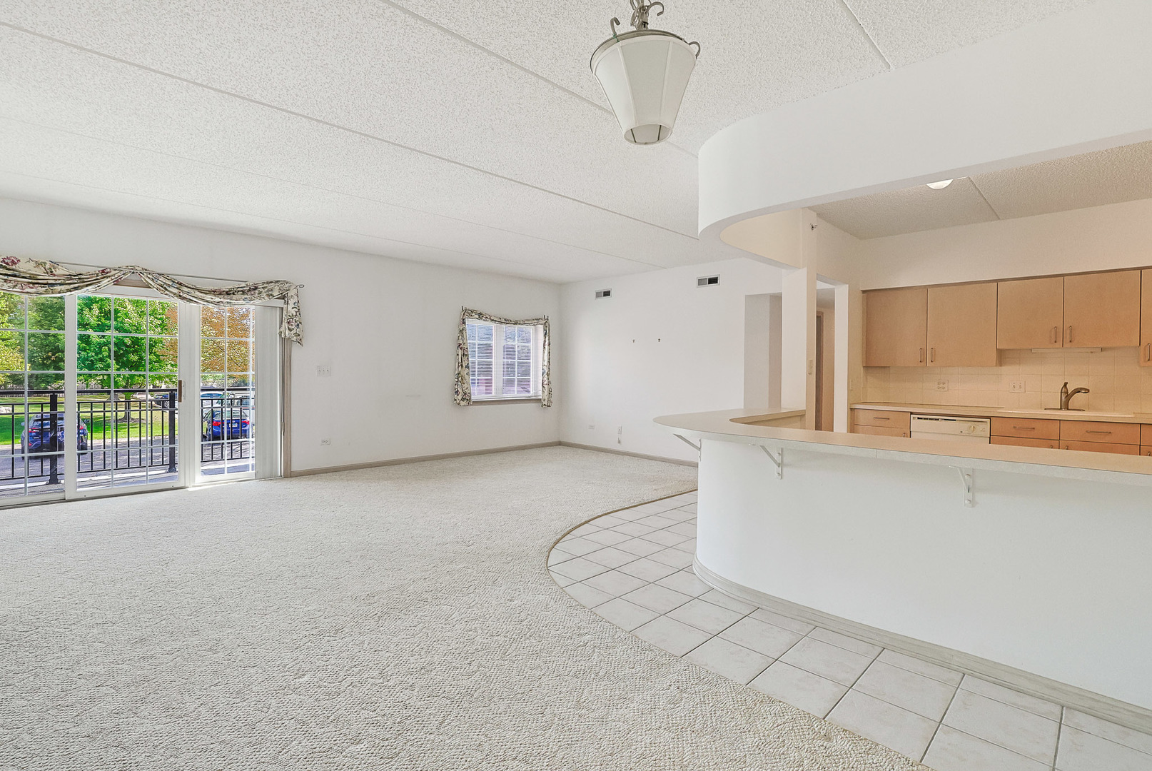 55 S Hale Street #109, Palatine, IL 60067