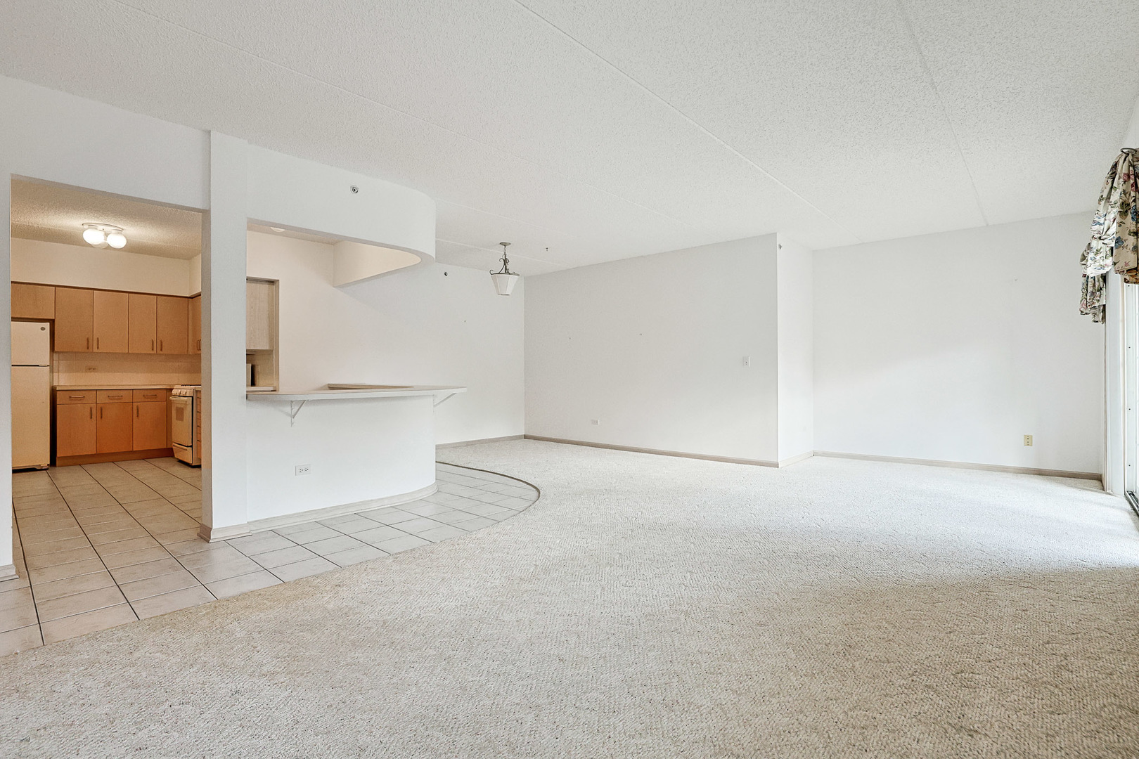 55 S Hale Street #109, Palatine, IL 60067