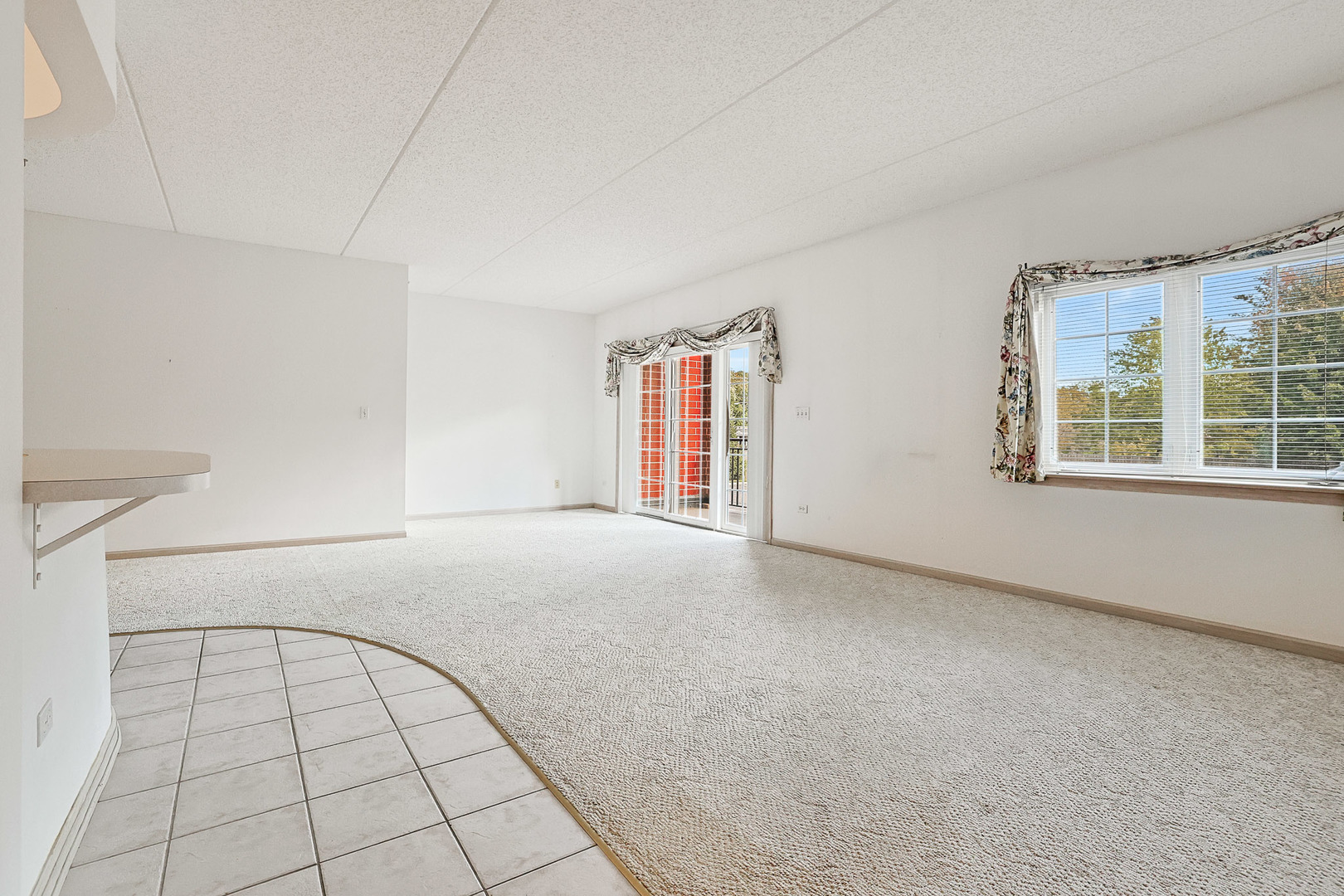 55 S Hale Street #109, Palatine, IL 60067