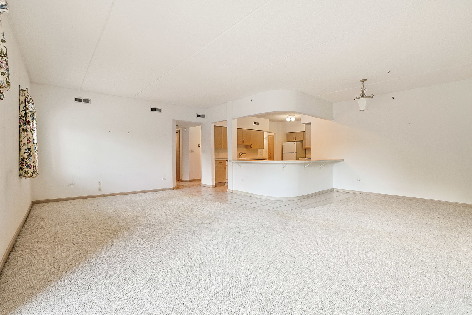 55 S Hale Street #109, Palatine, IL 60067