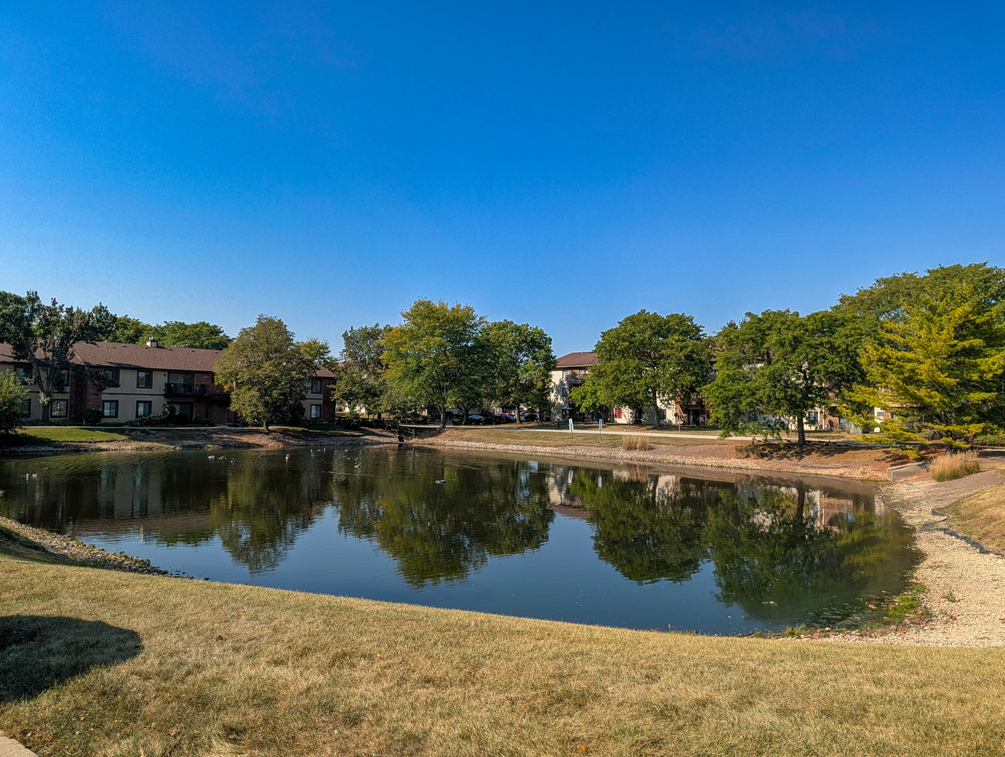 1091 Rodenburg Road #303, Roselle, IL 60172
