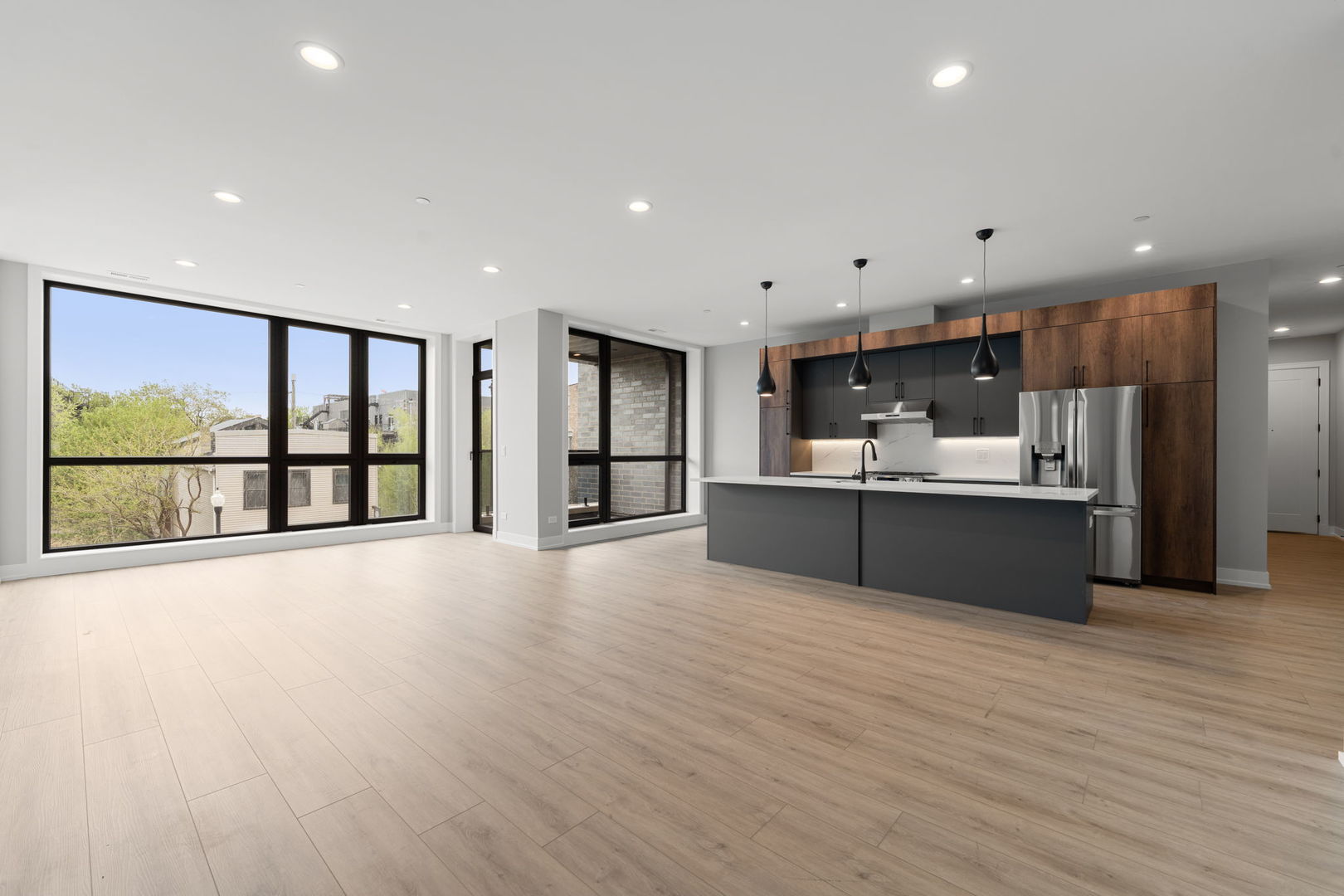 1718 S Halsted Street #201, Chicago, IL 60608